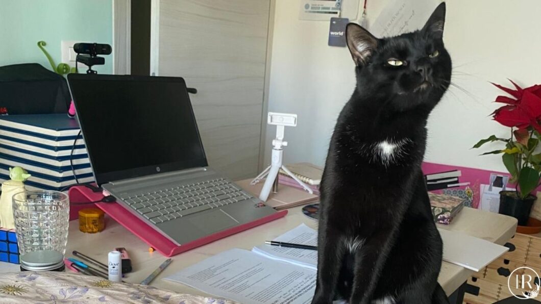 Organizzare tempo e task la prima cosa da fare Prima di pianificare task e usare tool, libera la mente dalla confusione. Scopri 3 tips per dare chiarezza al tuo business.