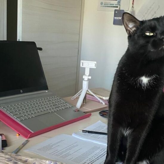 Organizzare tempo e task la prima cosa da fare Prima di pianificare task e usare tool, libera la mente dalla confusione. Scopri 3 tips per dare chiarezza al tuo business.